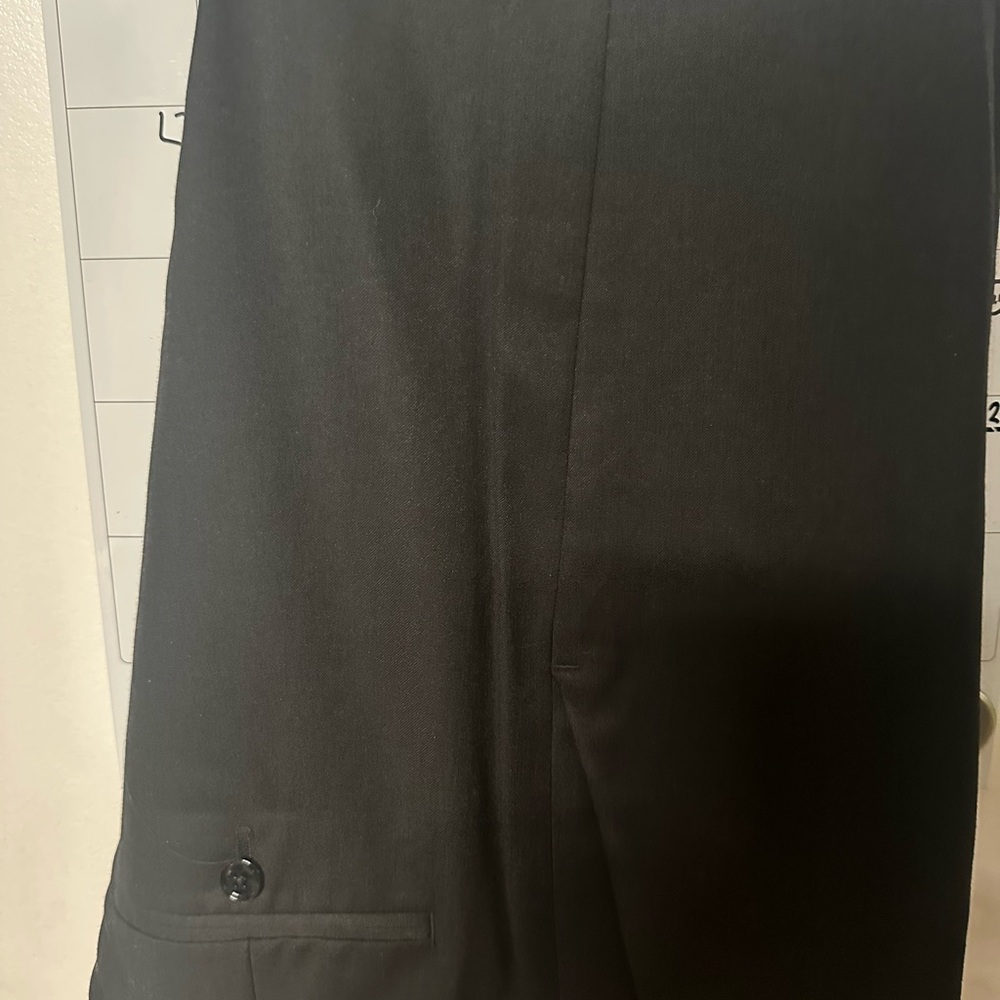Express Dress Pants